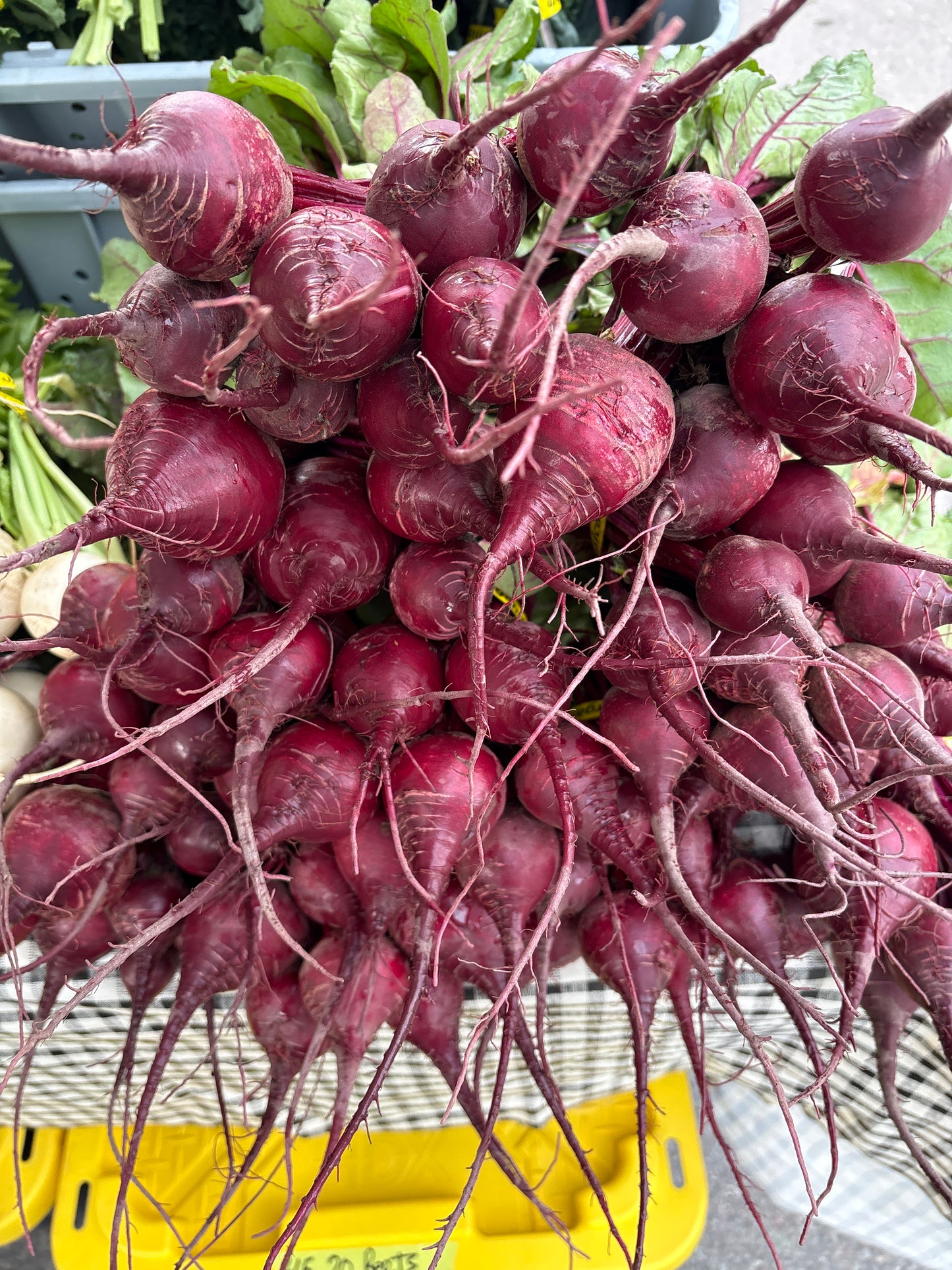 Beets - Red