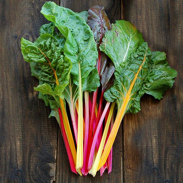 Chard