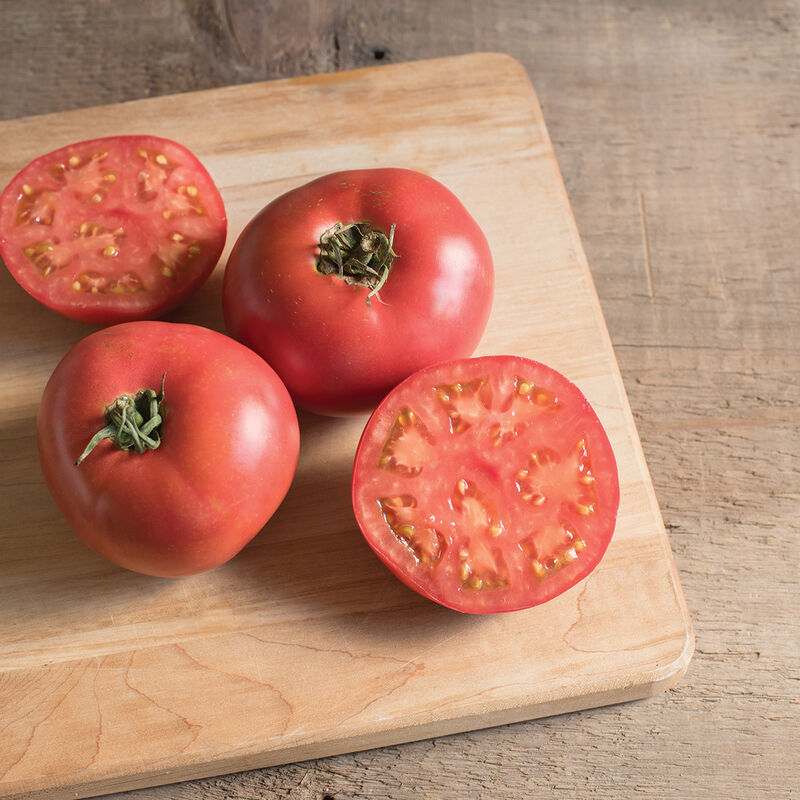 Tomato- Slicer Damsel
