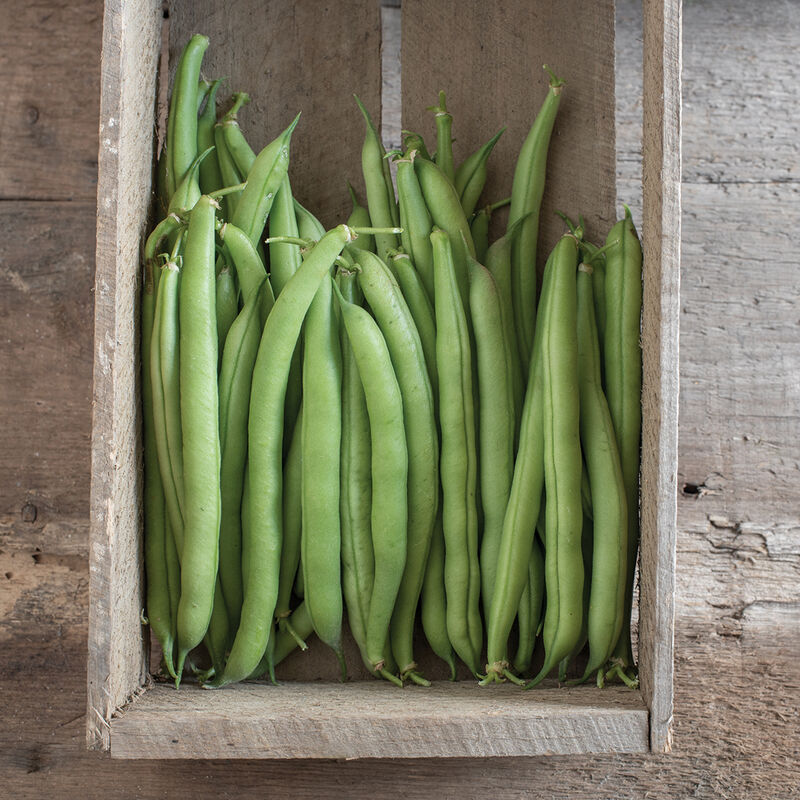 Green Beans