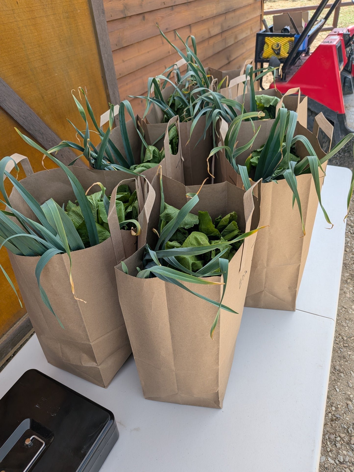 Weekly Grocery Bag