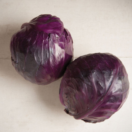 Cabbage - Red Round