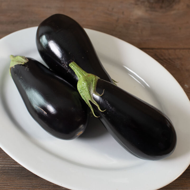 Plant Start - Eggplant Guadi