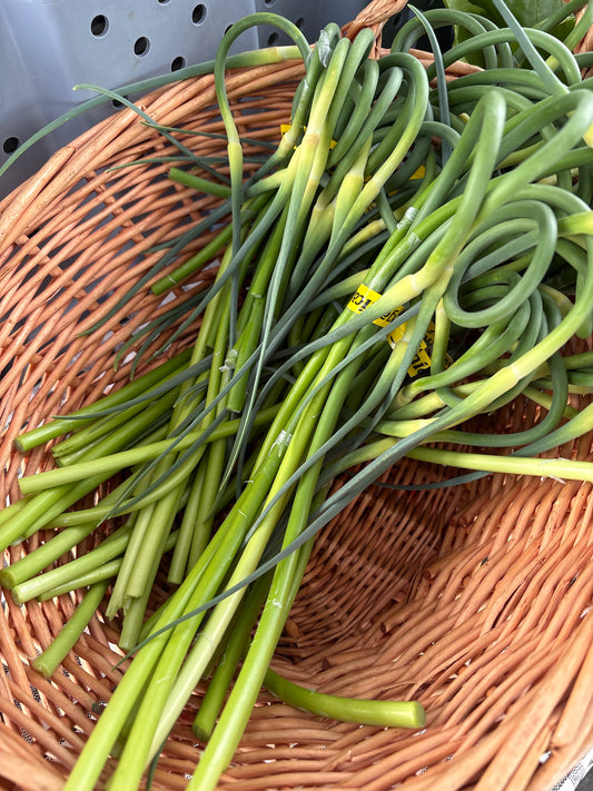 Garlic Scapes