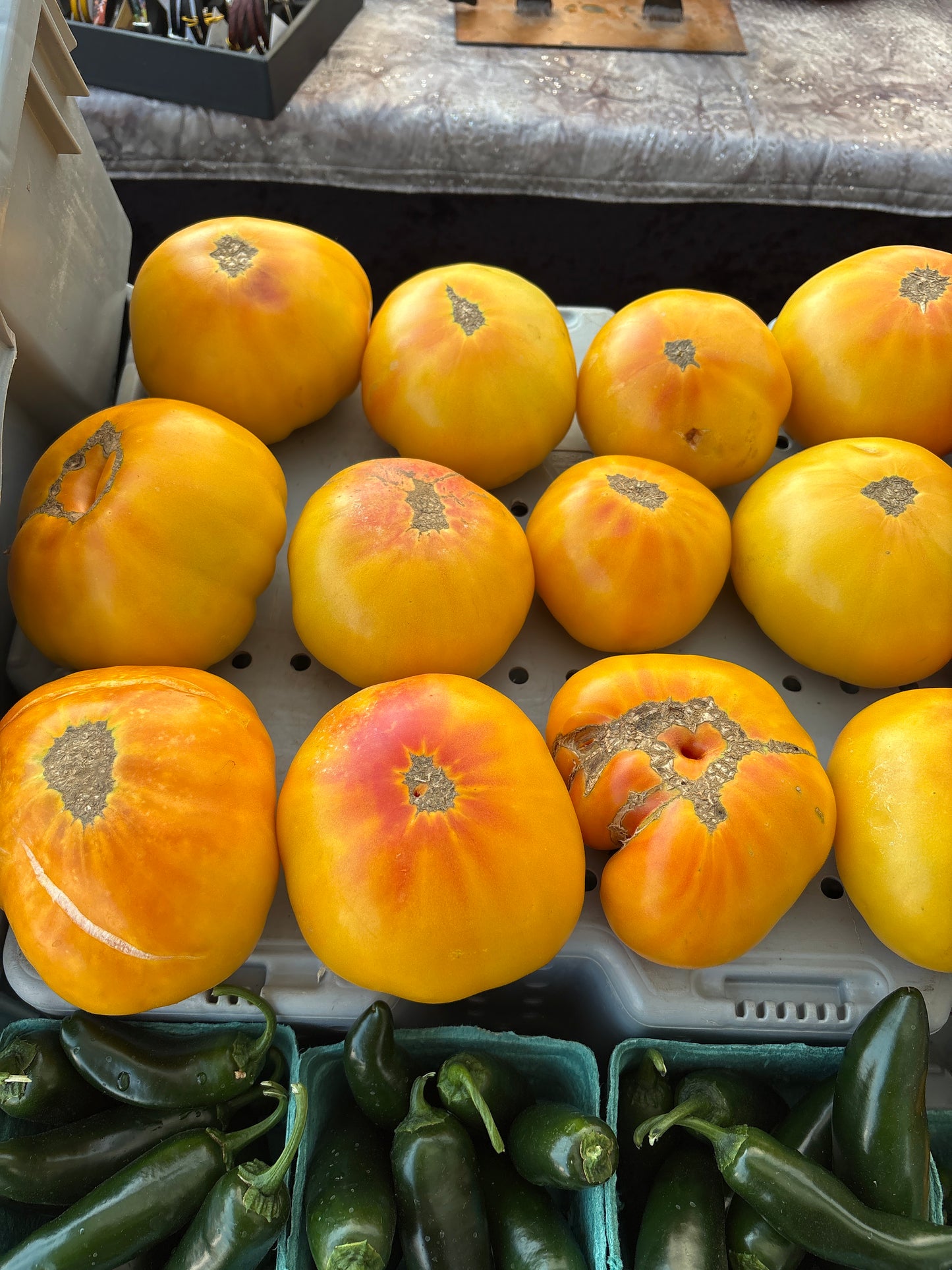Tomato- Slicer Gin Fiz