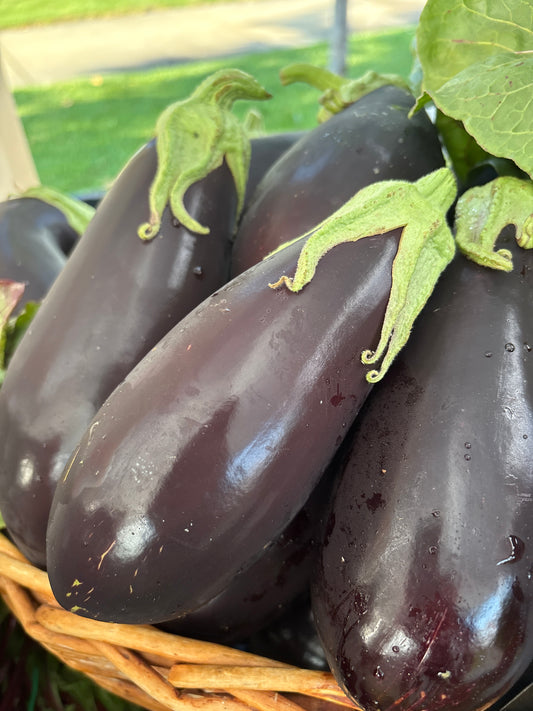 Eggplant