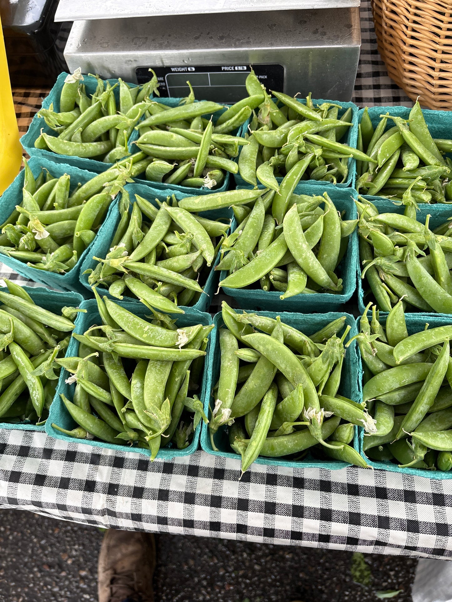 Sugar Snap Peas