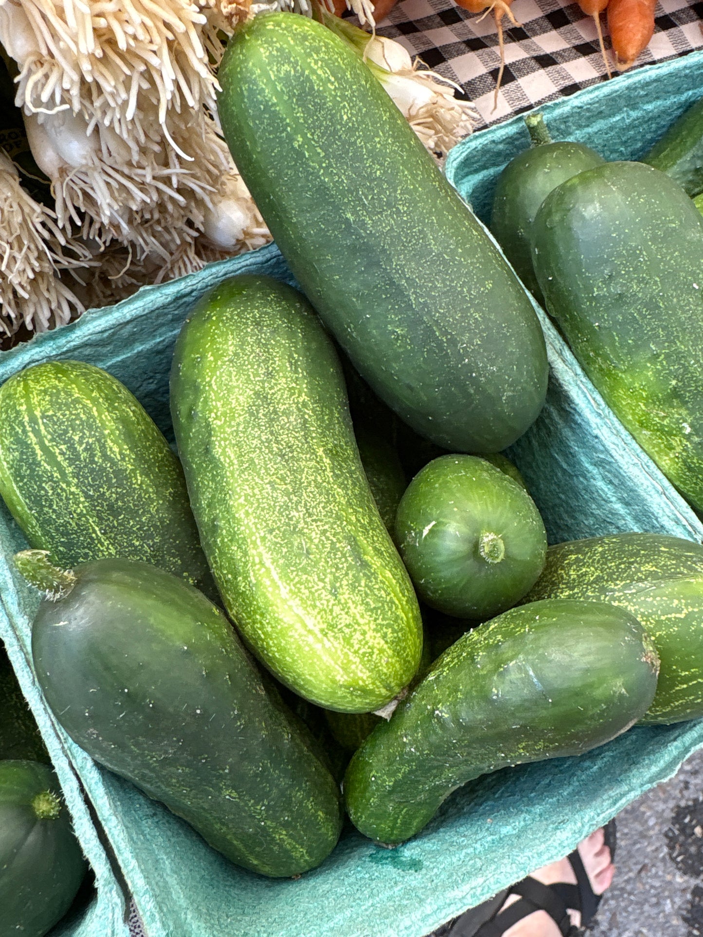 Pickling Cucumbers - 1 qt