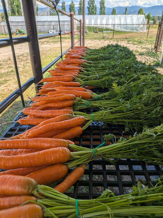 Carrots - bulk 3 lb bag