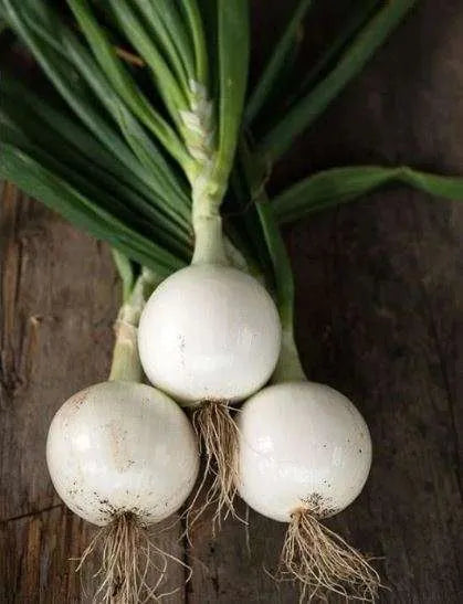 Fresh Onion