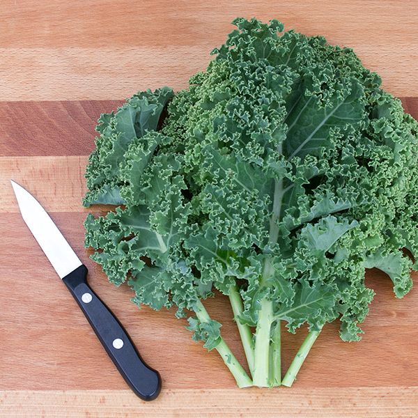 Kale - Green Curly