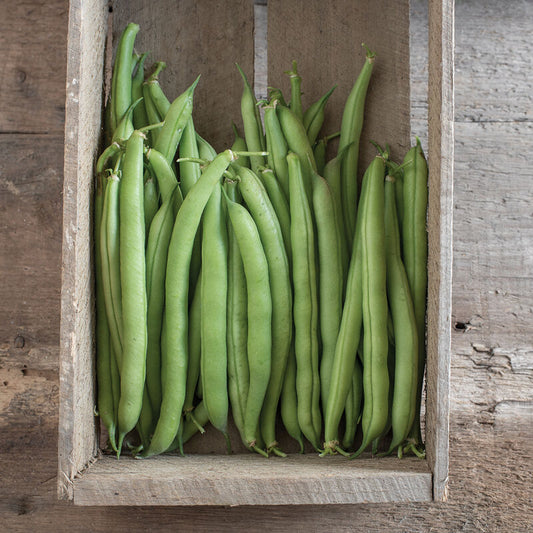 Green Beans
