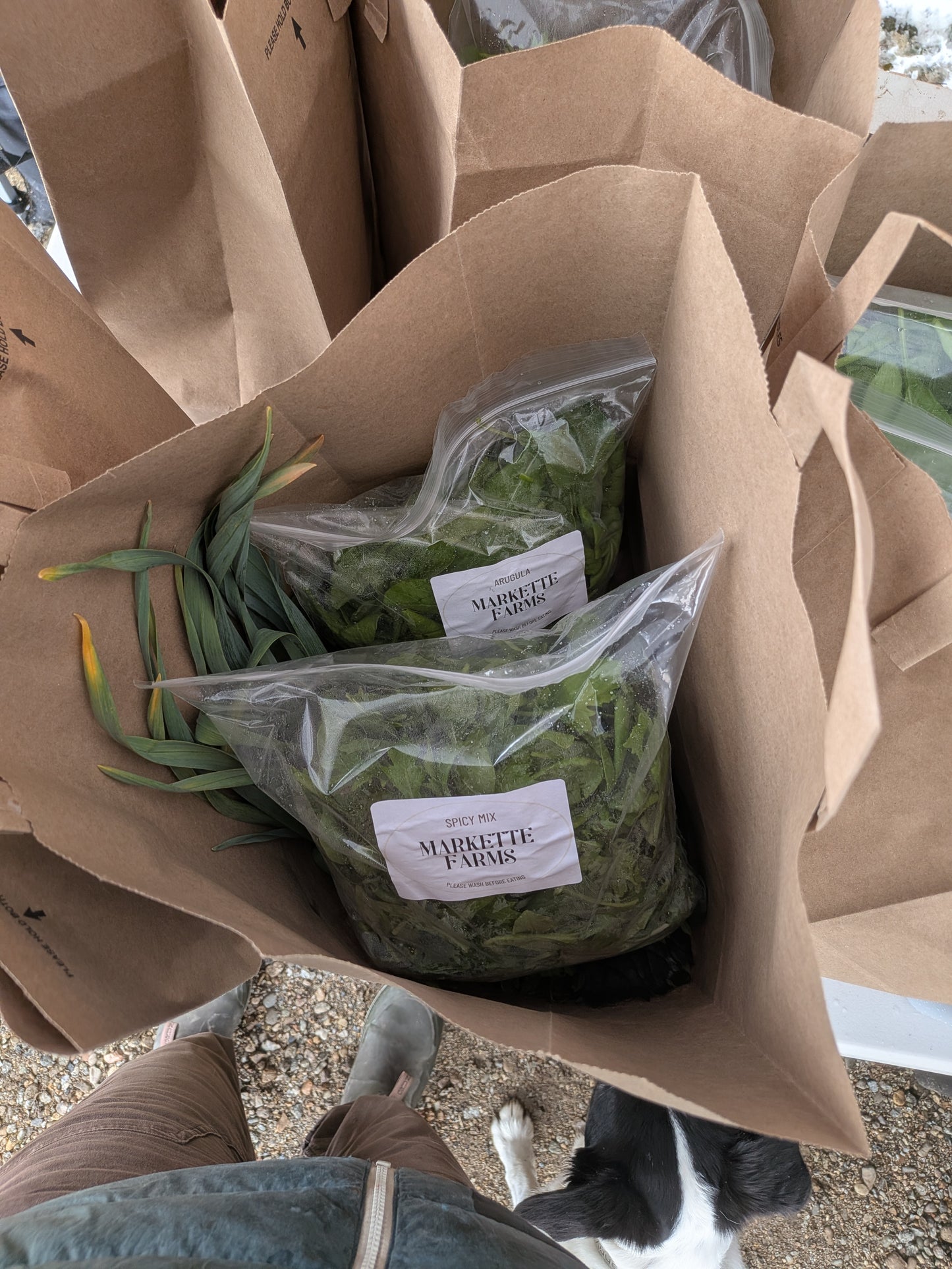 Weekly Grocery Bag